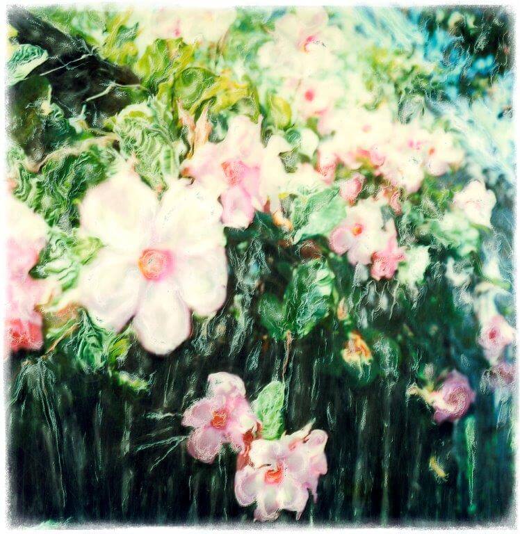 Nice Flowers
