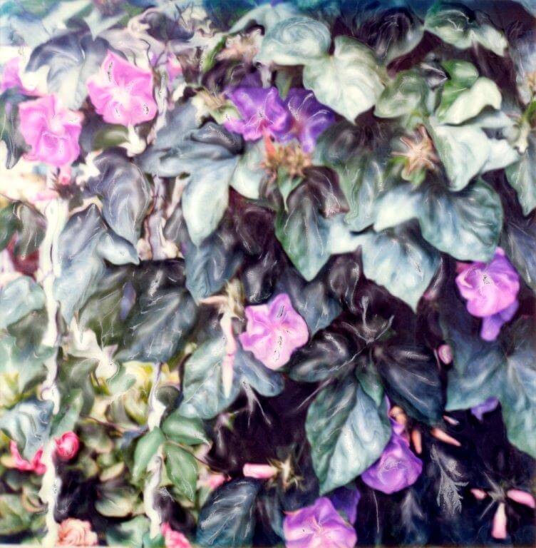 Flowers on Trelis